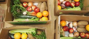 Good-Food-Box-Header-Fernwood-NRG