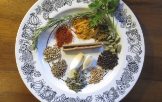 Medicine-in-your-kitchen-Fernwood-NRG-Victoria-BC-photo-by-Lindsay-Hounslow