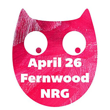 Little-Owl-Fernwood-NRG-Victoria-225x225