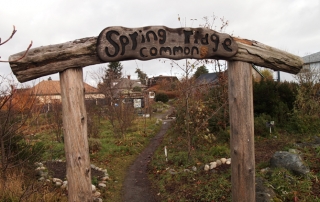 Spring-Ridge-Commons