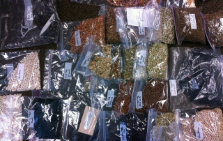 Victoria-Seed-Library-Fernwood-NRG-Victoria-1000px