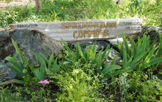 SpringRidgeCommons_FernwoodNRG_Victoria_669