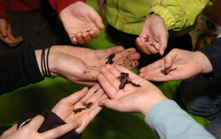 The-scoop-on-worms-Derrick-Lundy-Fernwood-NRG-Victoria-1000px