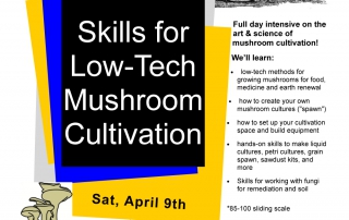 Mushroom Cultivation Intensive