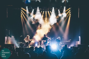 Cartoon Lizard FernFest 2017