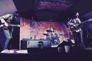 Tan and Hide FernFest 2017