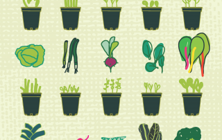AugustPlantSale Poster 2016
