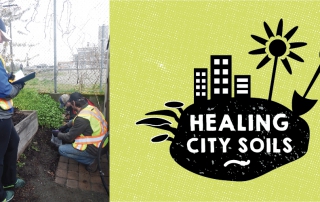Healing_City_Soils_Fernwood_NRG_Victoria_1000px