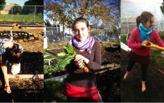 Vic High Garden Fernwood NRG Victoria 2017
