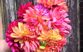 City Fields Flower Farm Fernwood NRG Victoria