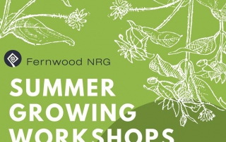 Summer Growing Workshops