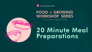 20 Minute Meal Preparations
