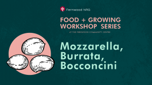 Mozzarella, Burrata, Bocconcini