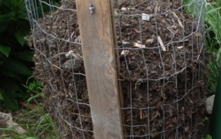 Leaf Cage. Photo: Alysha Punnett