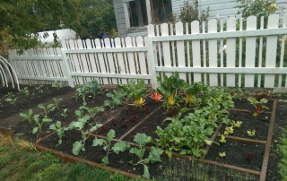 Fernwood Homesteads