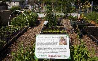 CEC Demonstration Veggie Gardens