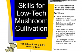 DIY-Fungi-Poster-June-2018