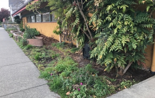 Fernwood-Community-Centre-Kitchen-Garden