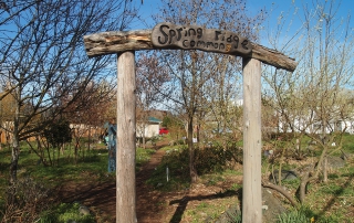Spring Ridge Common(s)