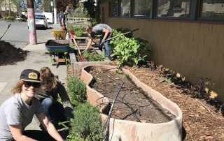 Kitchen Garden Work Party