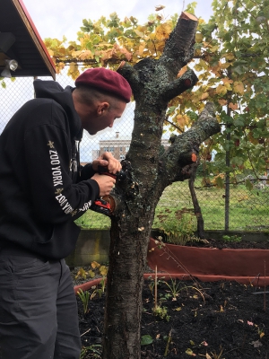 Installing Mushroom Spawn