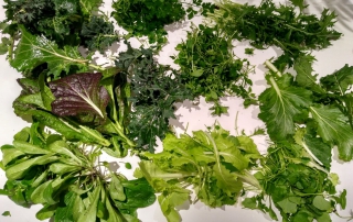 Greens