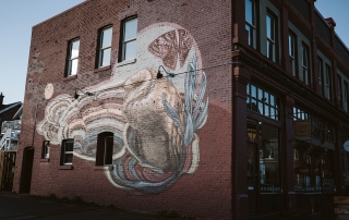 Collin Elder mural on Cornerstone Building. Photo - Aly Sibley