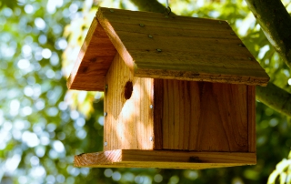 Birdhouse - Photo: Taylor Foss