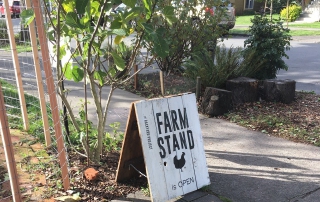 Farm Stand Photo by Marianne Unger