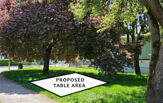 Proposed table