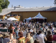 FernFest 2025