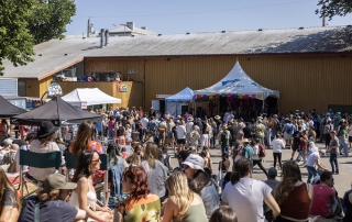 FernFest 2025