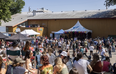 FernFest 2025