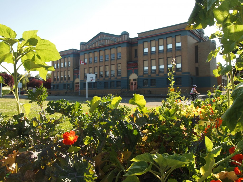 Geroge Jay Elementary School